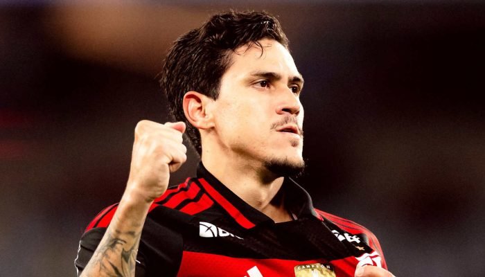 Pedro soma dois gols e uma assistência nos sete jogos que fez em 2026 / Foto: Adriano Fontes/Fla...