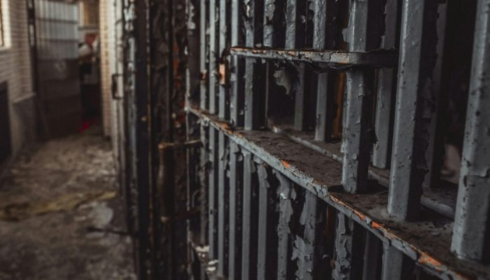 Imagem ilustrativa. (Foto: Pexels/Cameron Casey).